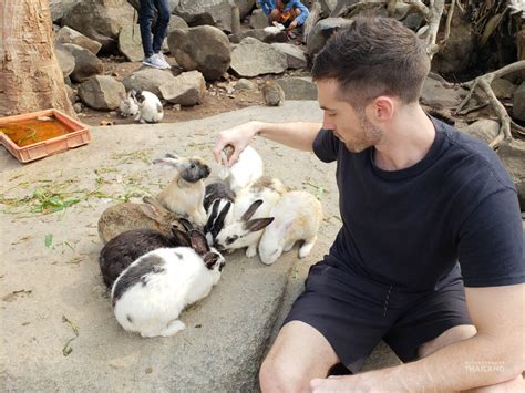 Chiang Khan Rabbit Temple Wat Pra Putthabat Phu Kwai Ngoen Its