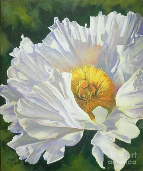 White Poppy Painting by Suzanne Schaefer