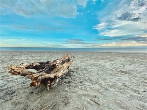 Premium Photo | Scenics - nature at binmaley beach pangasinan