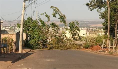 Queda De Rvore Interdita O Tr Nsito Em Rua Do Bairro Jardim Panor Mico