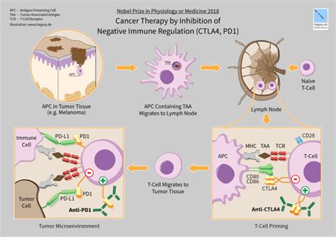 Insights Into Immuno Oncology Enabled By Single Cell Sequencing X