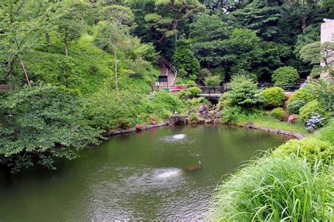 Best Parks and Gardens in Tokyo, Japan | Footsteps of a Dreamer