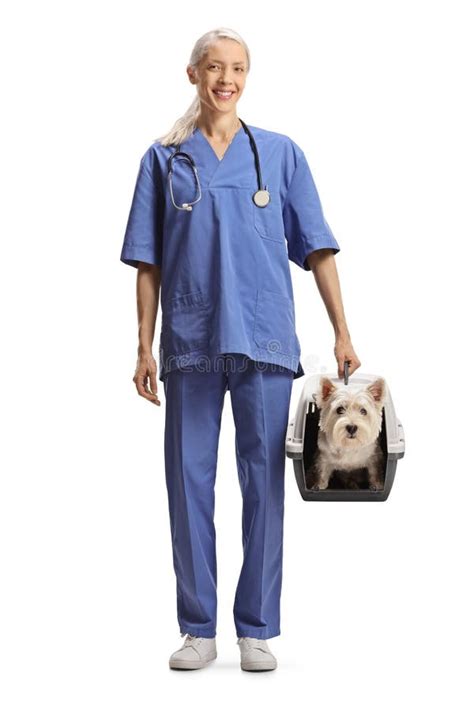 Female Veterinarian in a Blue Uniform Holding a Pet Carrier with a Dog Stock Photo - Image of ...