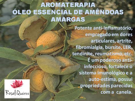 Aromaterapia Qu Ntica Aromatologia E Aromacologia Oe Am Ndoas Amargas