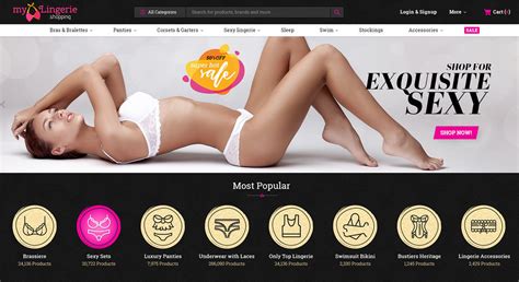 Move Your Lingerie Fashion Outfit Business Online With Ecommerce Team