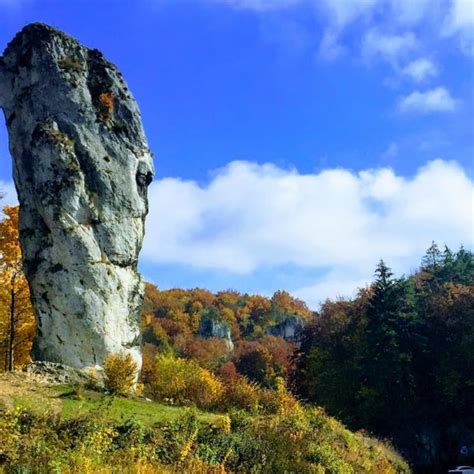 Maczuga Herkulesa W Ojcowskim Parku Narodowym Aktualno Ci I