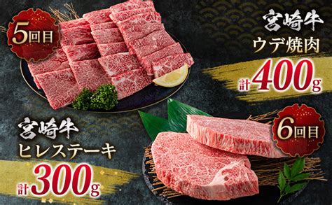 数量限定 6か月 お楽しみ 定期便 宮崎牛 贅沢 満喫 セット 総重量25kg 肉 牛 牛肉 黒毛和牛 国産 人気 食品 焼肉 ステーキ