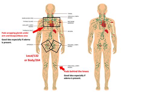 Lymphatic Placements Extremeties NeuroCare Pro