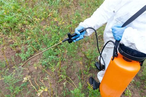 Does Weed Killer Expire Pesticide And Herbicide Shelf Life