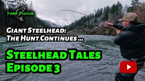 Steelhead Tales Episode Giant Steelhead The Hunt Continues