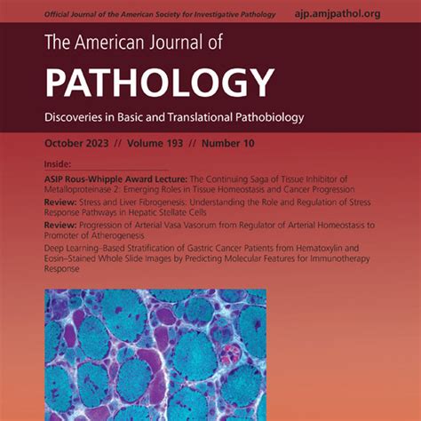 The American Journal Of Pathology S Kiko Profile Kiko Xp