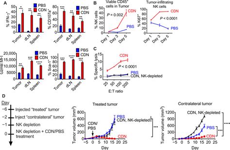 Nk Cells Mediate Clearance Of Cd8 T Cellresistant Tumors In Response