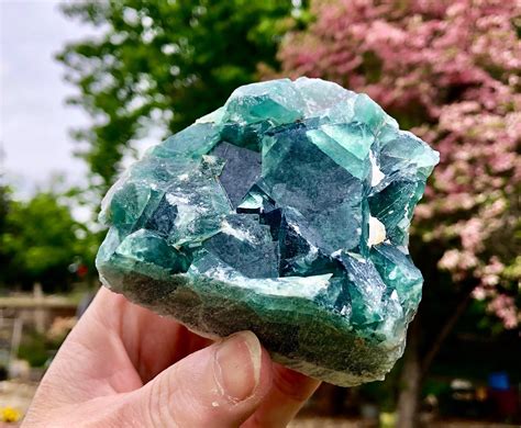 G Green Cubic Fluorite Crystal Cluster Mineral Display Specimen