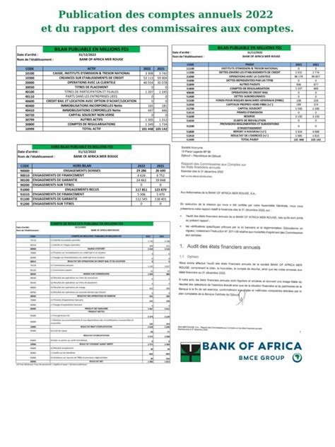 Publication Des Comptes Annuels Et Du Rapport Des Commissaires Aux