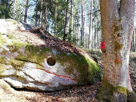 Rundwanderung auf dem Walderlebnispfad Fuchsmühl MachsEinfach