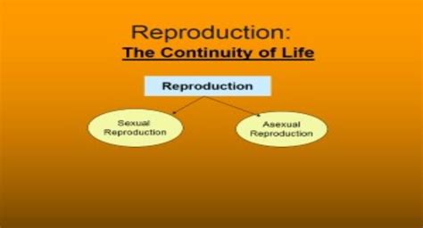 Free Download Sexual And Asexual Reproduction Powerpoint Presentation Slides