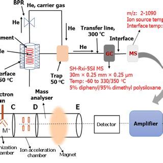 Schematic diagram of the Py-GC/MS experiment. | Download Scientific Diagram