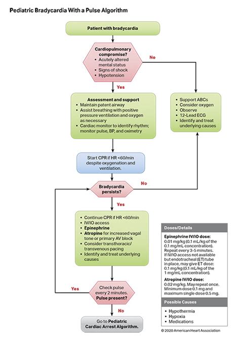 Sinus Bradycardia Acls Algorithm