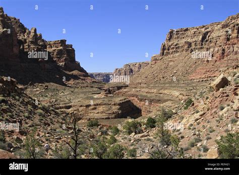 Dark Canyon, Bears Ears National Monument, Utah, USA Stock Photo - Alamy