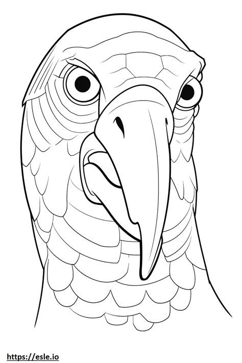 Parrot Face Coloring Page