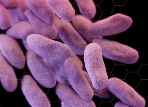 Consumer Reports Targets Antibiotic Resistant Superbugs Consumer Reports