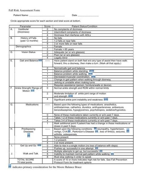 Fall Risk Assessment Form Moore Balance Brace