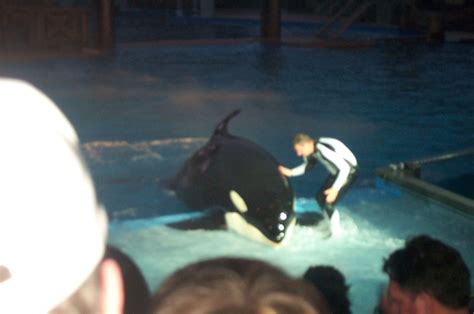 Sea World