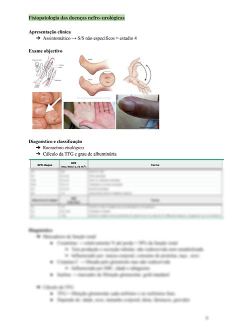 Solution Fisiopatologia Das Doen As Nefro Urol Gicas Studypool