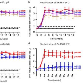 Long Term Monitoring Of Humoral Immune Response Induced By RBD Trimer