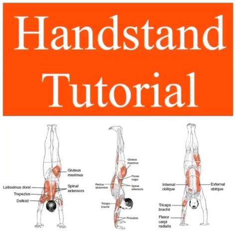 Dr Stacie Morris Dpt Usaw Frc On Instagram Handstand Tutorial