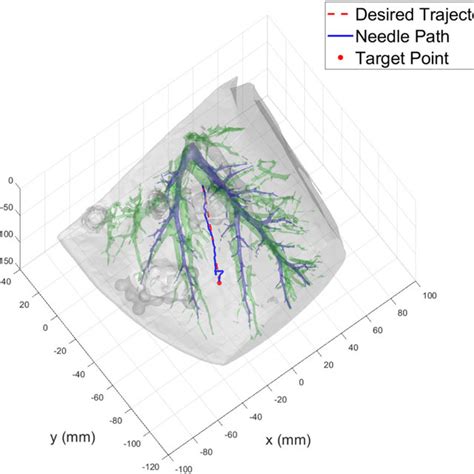 An Example Needle Insertion From An Ex Vivo Experiment The Recorded Download Scientific