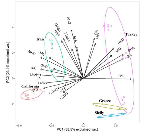 Graphical Representation Of The Principal Component Analysis Pca It