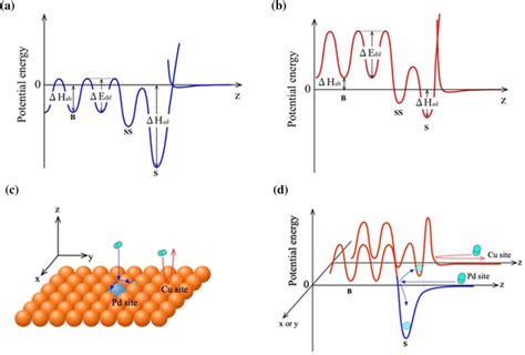 A Potential Energy Diagram For Dissociative Adsorption And Absorption