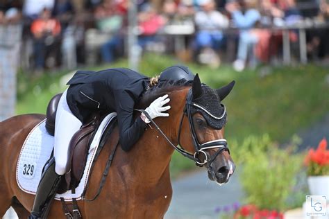 Le Calendrier Des Comp Titions Est En Ligne P Le Europ En Du Cheval