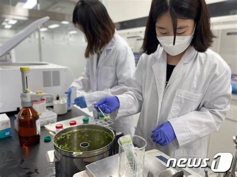 경기도보건환경연구원 연말까지 농산물안심지킴이 사업 추진 네이트 뉴스