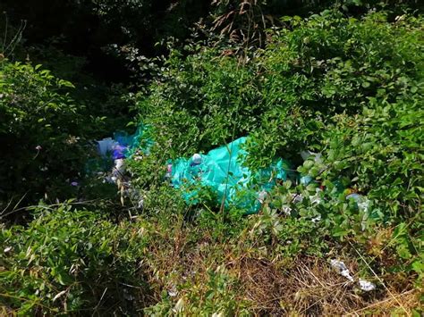 Fare Verde Civitavecchia Abbandono Selvaggio Dei Rifiuti