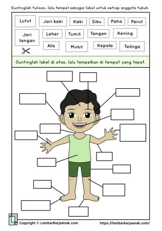 Lembaran Kerja Anggota Badan Kartun Mengenal Anggota Tubuh Worksheet