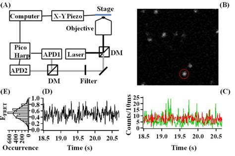 A The Schematics Of Experimental Setup Using Nm Excitation Laser