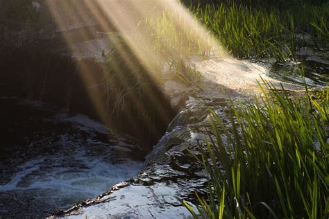 Gratis billeder natur græs klippe vandfald sollys blad bølge