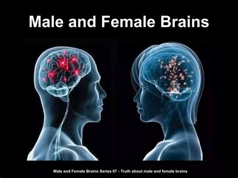 Male And Female Brains Series 07 Truth About Male And Female Brains Ppt