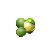 Mamoncillo Fruit | Nutrition facts-Mamoncillo Fruit | Health benefits