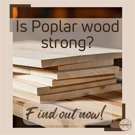 Is Poplar Wood Strong? Unmasking the Truth (Find Out Now!)