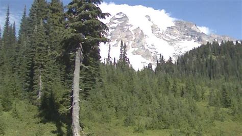 See what Mount Rainier did to spur a social media frenzy over volcano ...