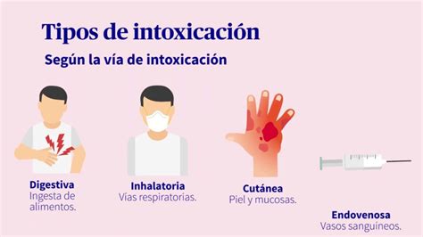 Tipos De Intoxicaciones Cuadro Comparativo