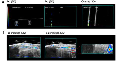 Pharmaceutics Free Full Text Achieving Effective Multimodal Imaging