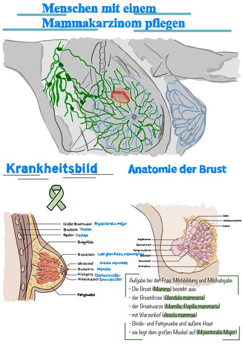 Lernzettel Pflege Brustkrebs Mamma Karzinom Etsy Schweiz