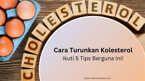 Cara Turunkan Kolesterol Ikuti Tips Berguna Ini