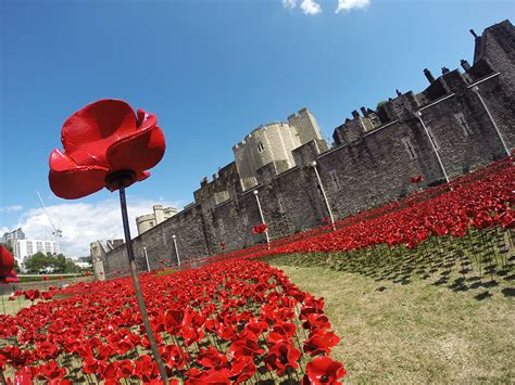 Ceramic Poppies in Tower of London6 – Fubiz Media