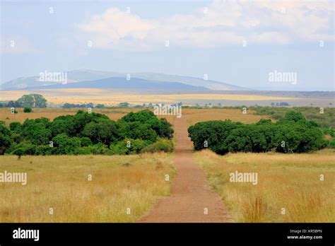 Paysage De Savane Banque De Photographies Et Dimages à Haute