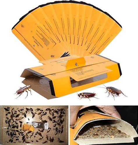 Amazon 18 Pack Roach Traps Indoor Roach Killer Indoor Infestation